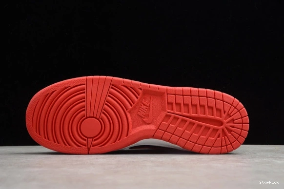 CZ2667-400 Low (2020) Samba Nike Dunk 0125